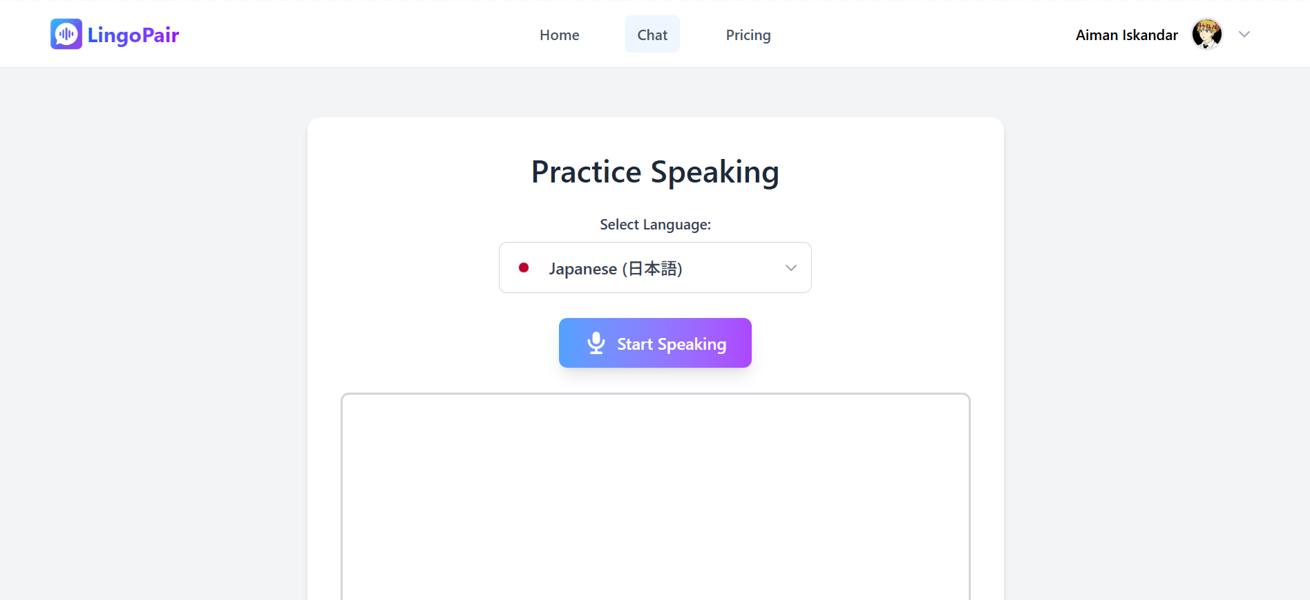 Chat Interface